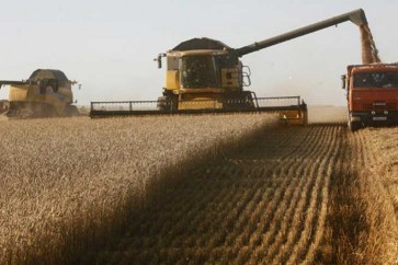 ارتفاع سعر صادرات القمح الروسية بفعل مشتريات مصرية وقوة الروبل