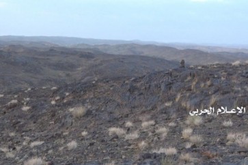 يمن