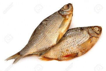 Fish Food1