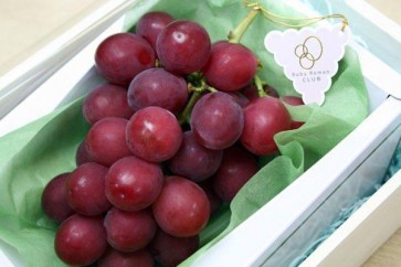Japanese Grapes