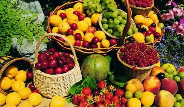 Fruits Production Iran
