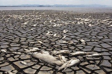 Mexico Drought